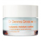 Dr. Dennis Gross Hyaluronic Moisture Cushion Oil-Free Moisturizer