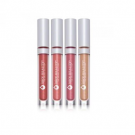Juice Beauty Reflecting Lip Gloss Kit