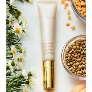 Schique Insightful Contour Eye Cream